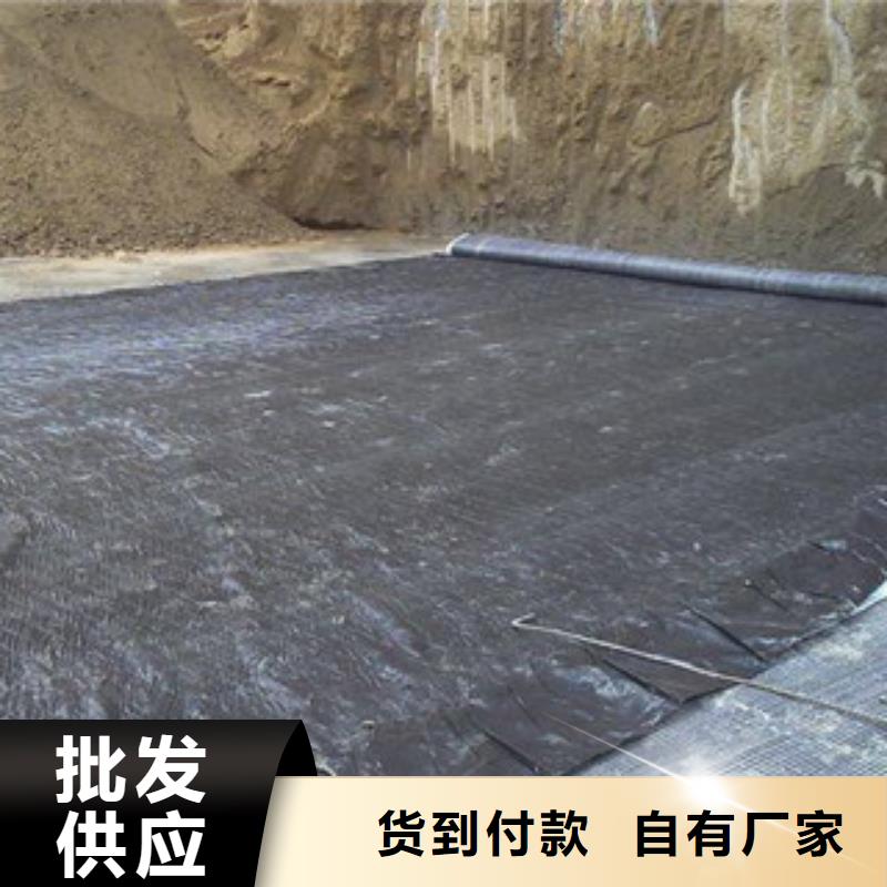膨润土防水毯高强度土工网品质服务