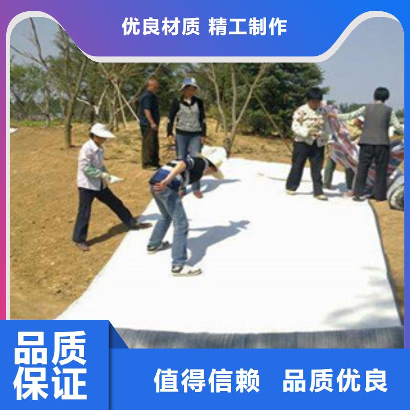膨润土防水毯高强度土工网品质服务