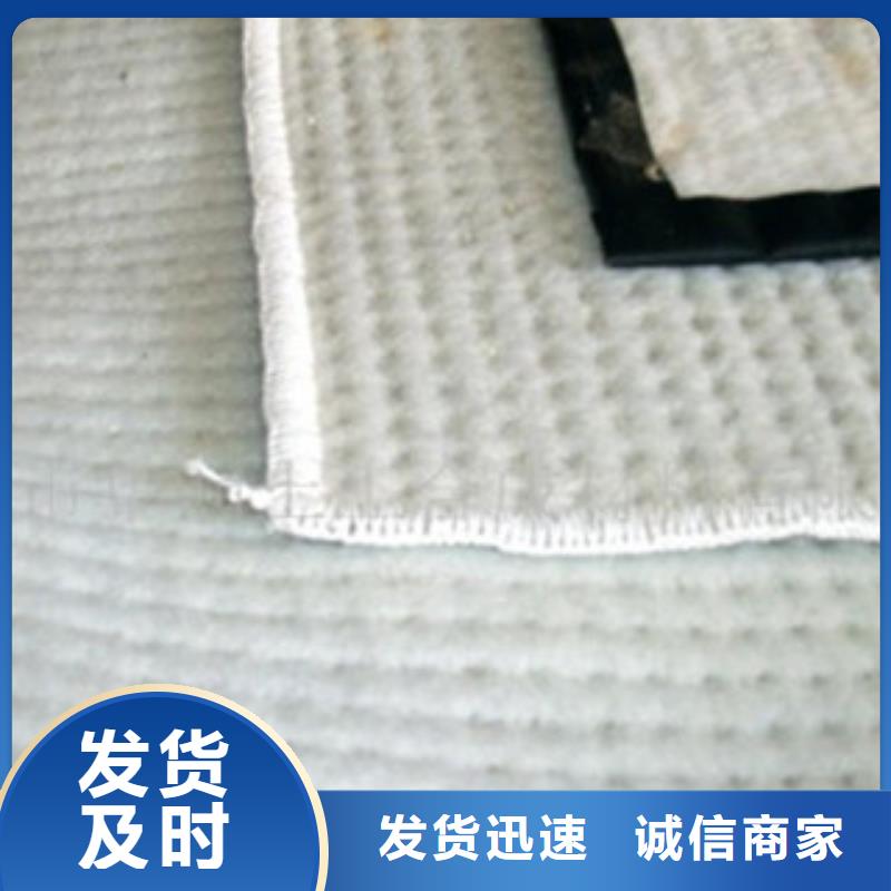 膨润土防水毯高强度土工网品质服务