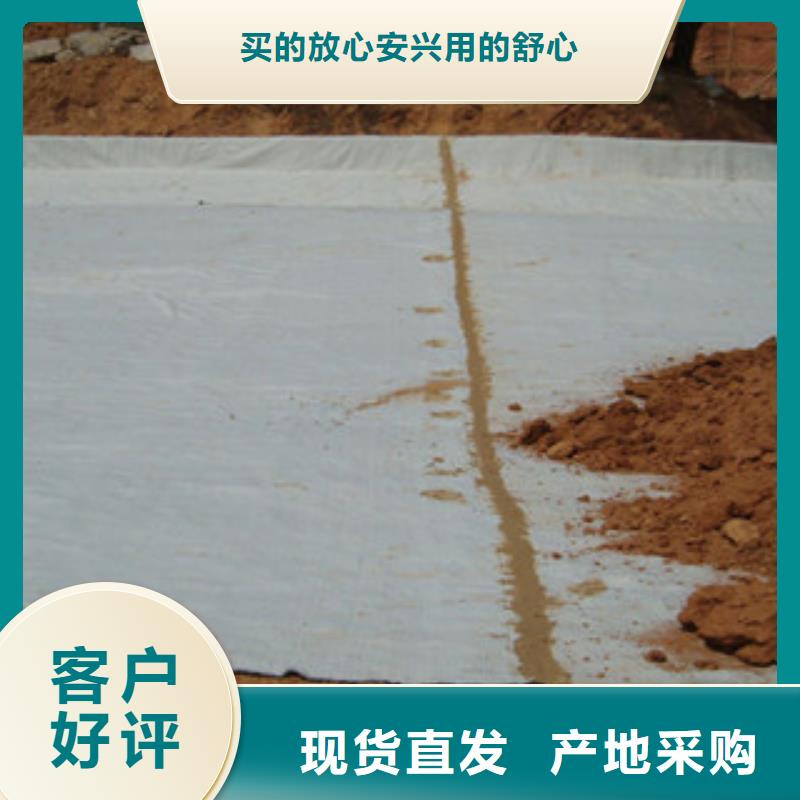 膨润土防水毯高强度土工网品质服务
