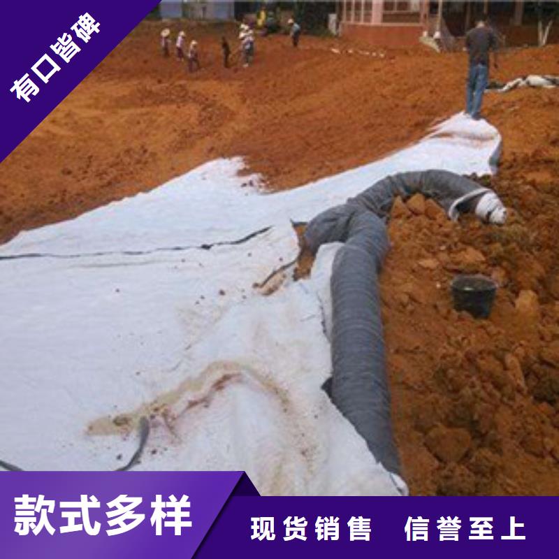 膨润土防水毯高强度土工网品质服务