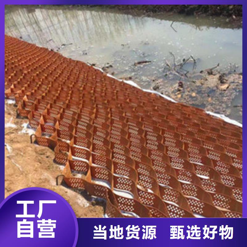 蜂巢格室-土工格栅低价货源