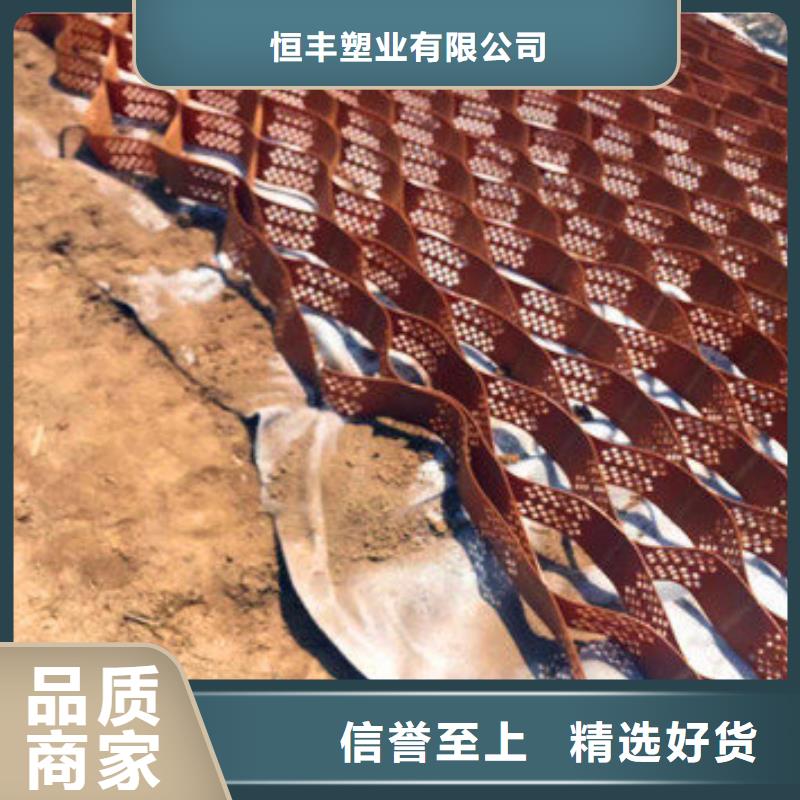 蜂巢格室蜂格网工艺精细质保长久