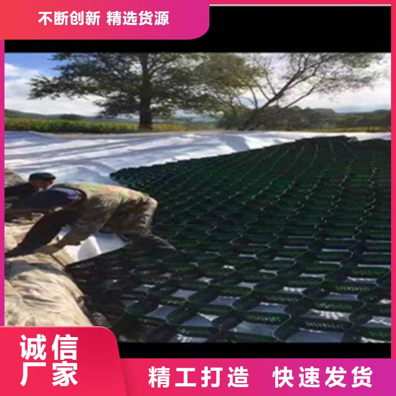 柔光箱蜂巢网
