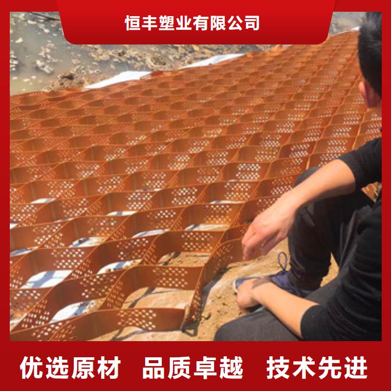 蜂巢格室_土工格栅源头厂家直销
