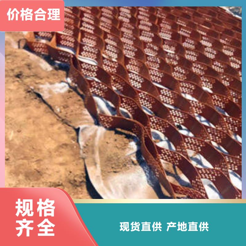 【蜂巢格室】,网格布专心专注专业