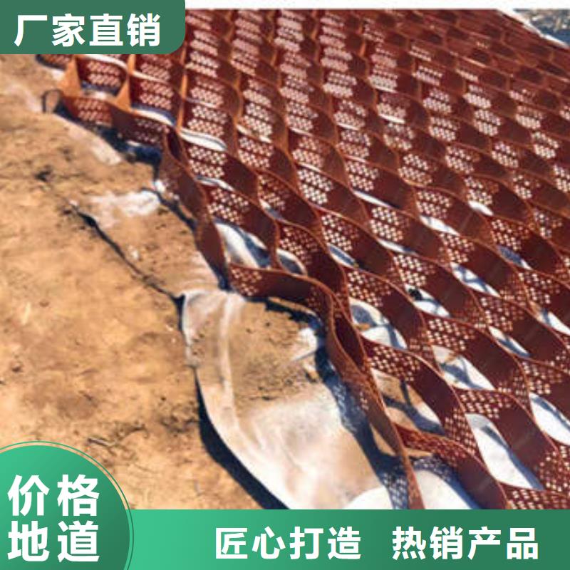 阳信县蜂巢格室，蜂巢格室公司