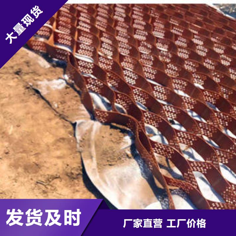蜂巢格室蜂格网追求细节品质