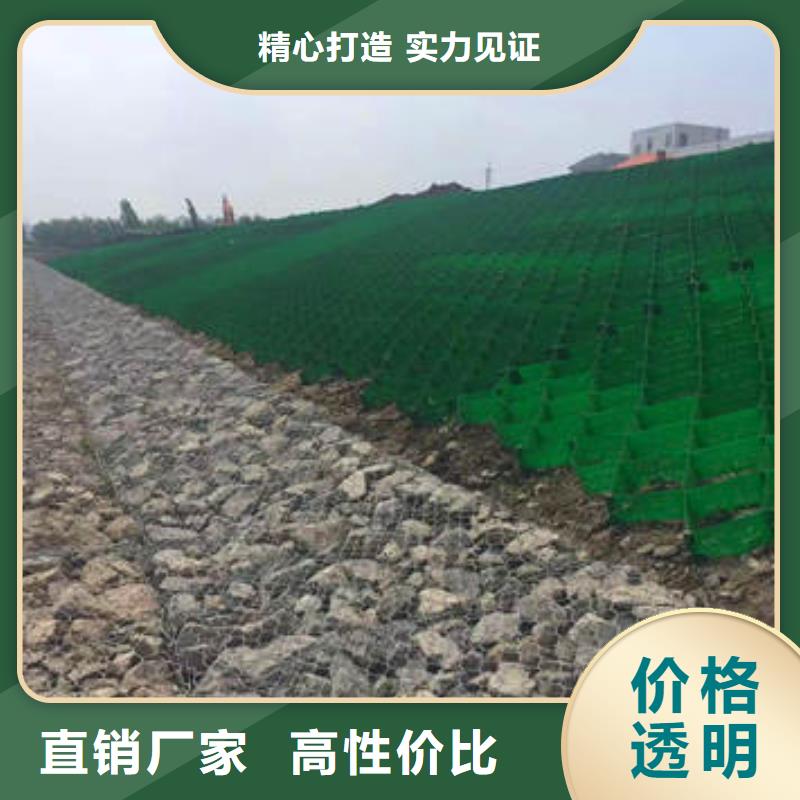 阳信县蜂巢格室，蜂巢格室公司