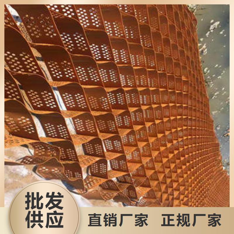 柔光箱蜂巢网