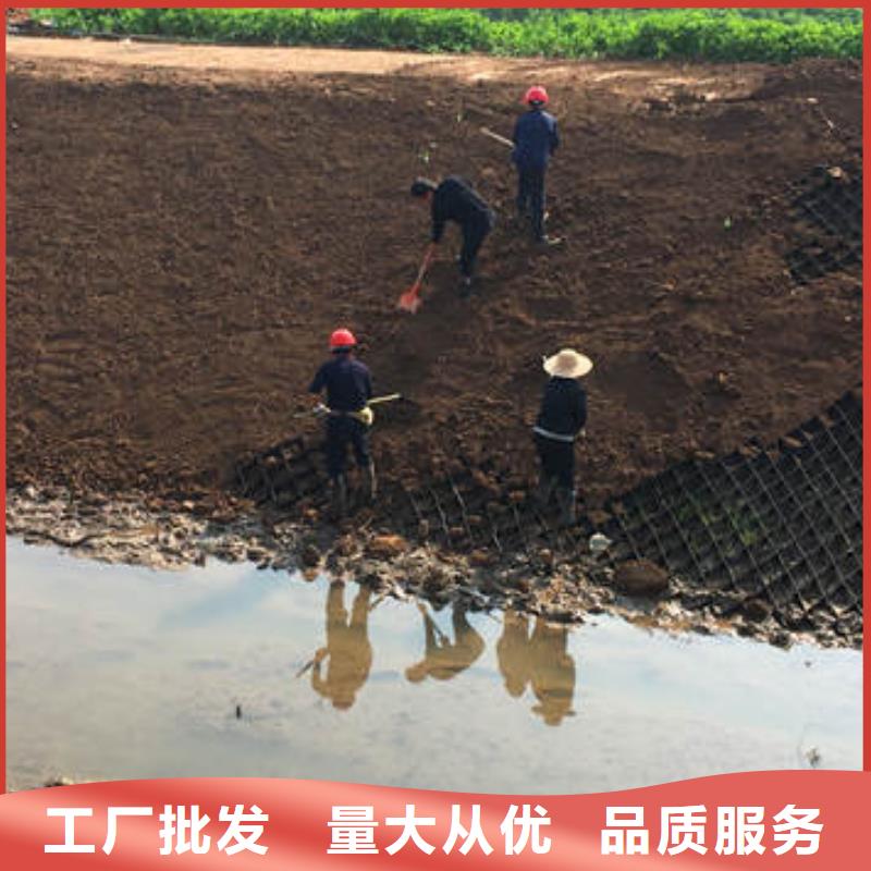 蜂巢格室【聚酯布】免费寄样