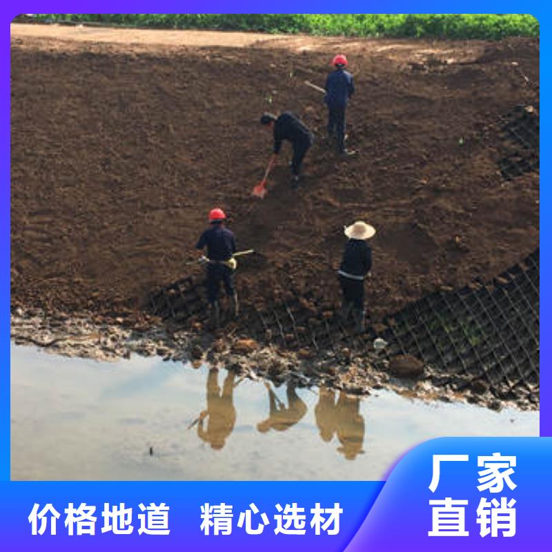 检测蜂巢格室-检测蜂巢格室