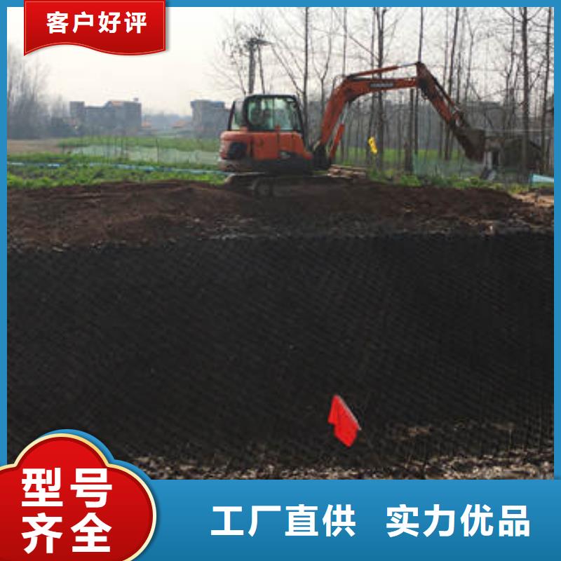 蜂巢格室-土工格栅低价货源
