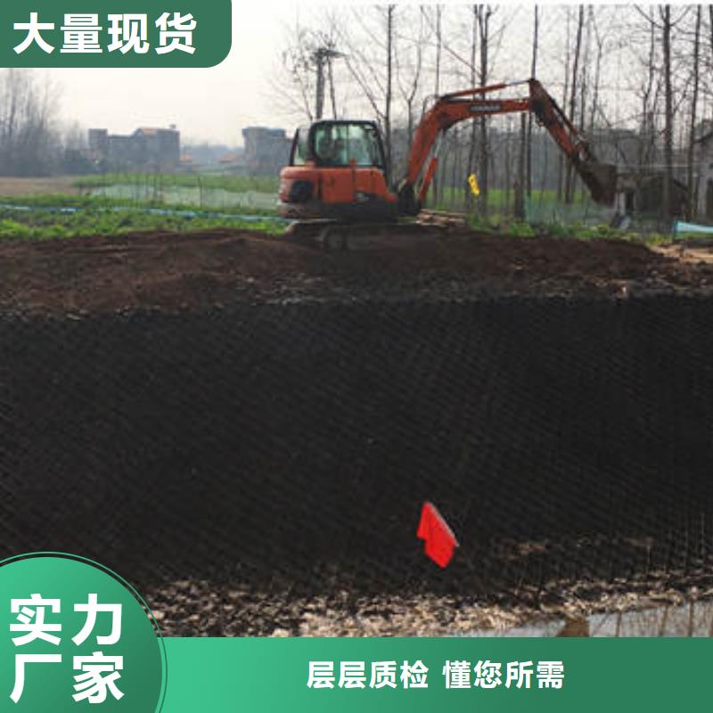 蜂巢格室今年新款
