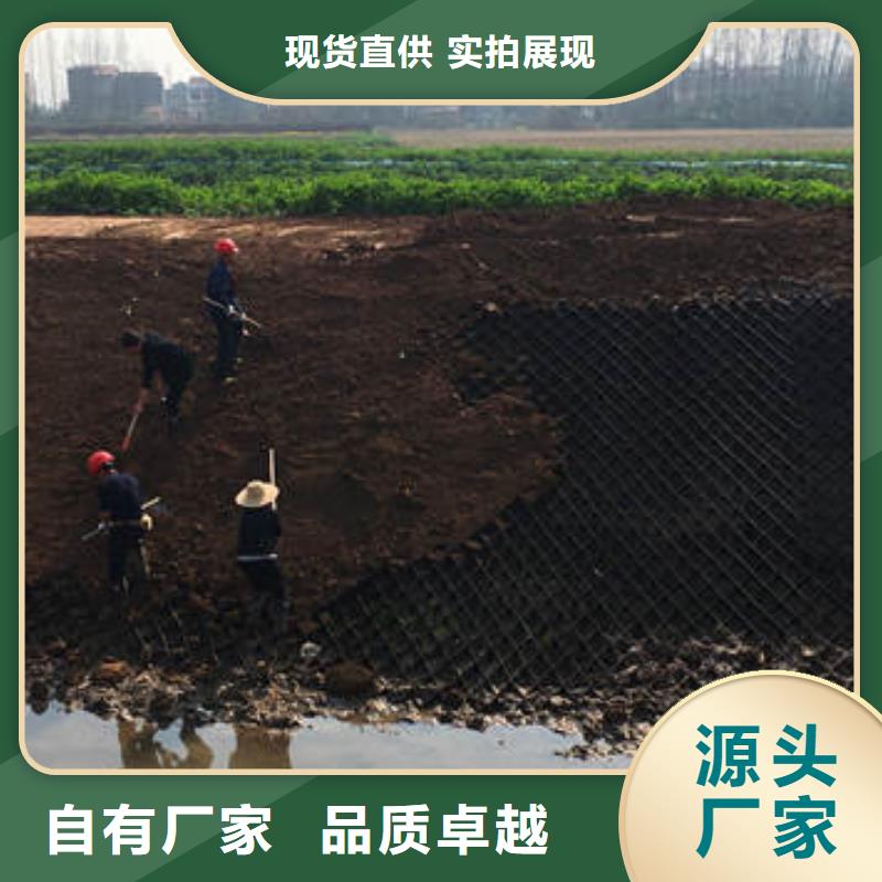 蜂巢格室,【土工格室】实力优品