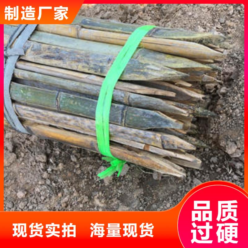 蜂巢约束系统