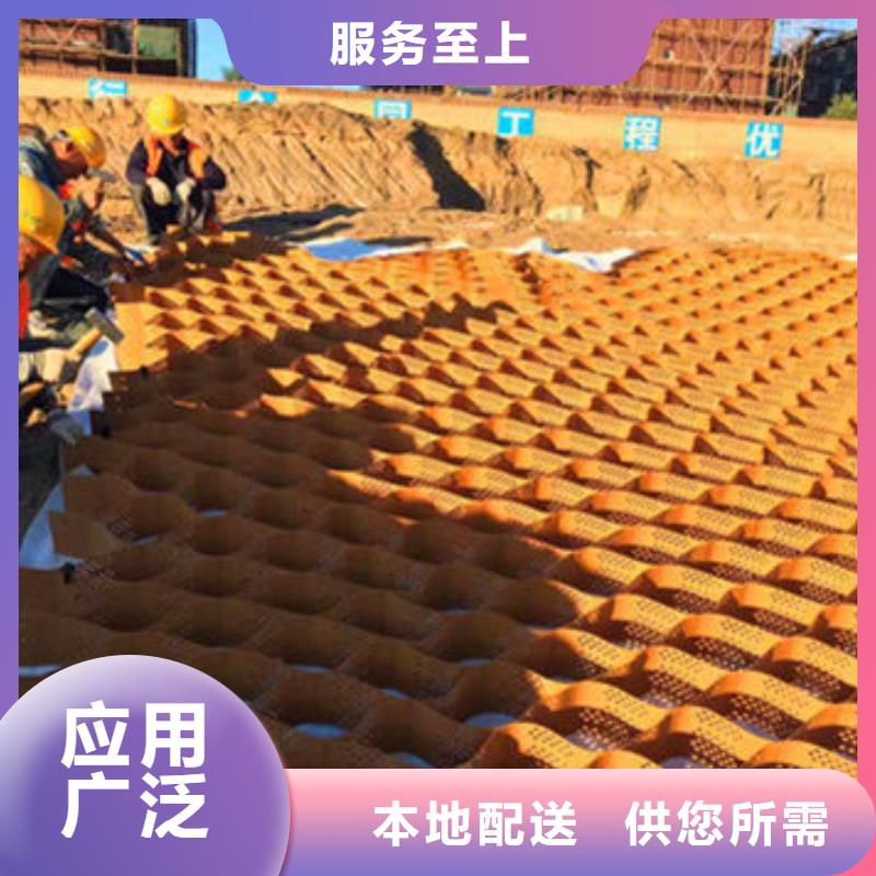 蜂巢格室蜂格网本地厂家值得信赖