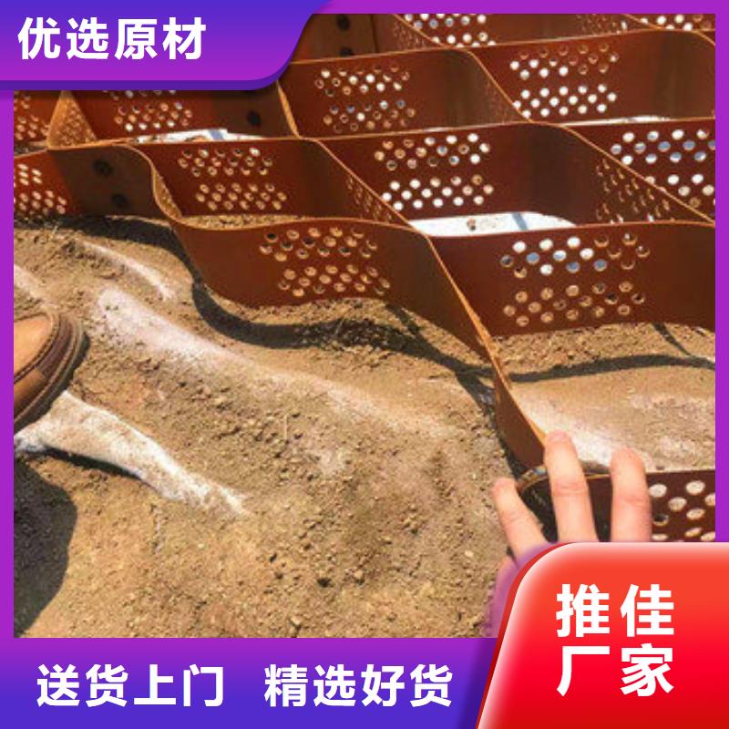 TGGS土工格室