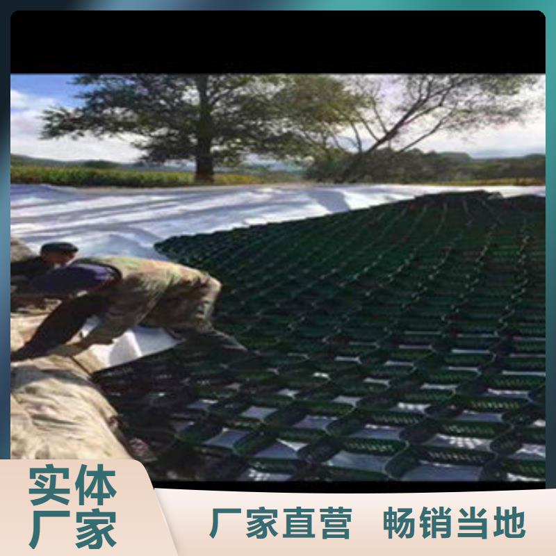 蜂巢格室蜂格网本地厂家值得信赖