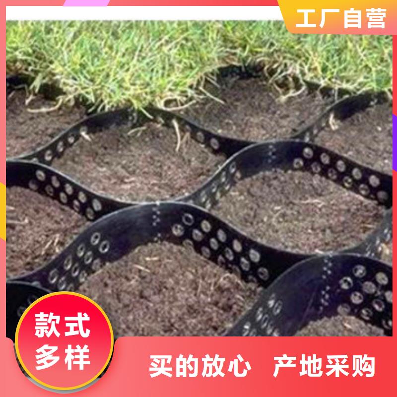 六边形蜂巢约束系统，六边形蜂巢约束系统