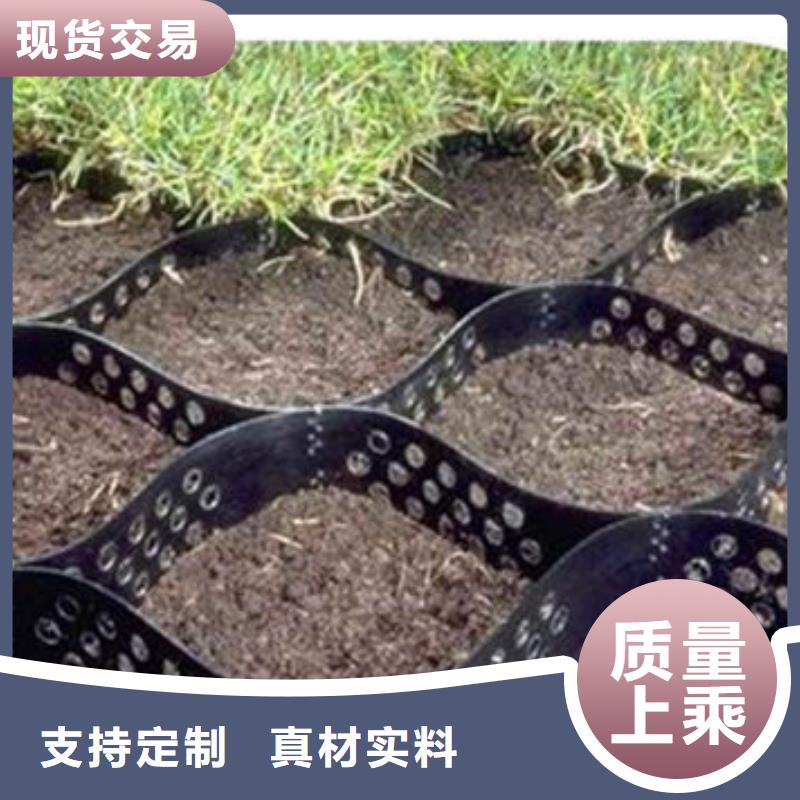 【蜂巢格室】,网格布专心专注专业