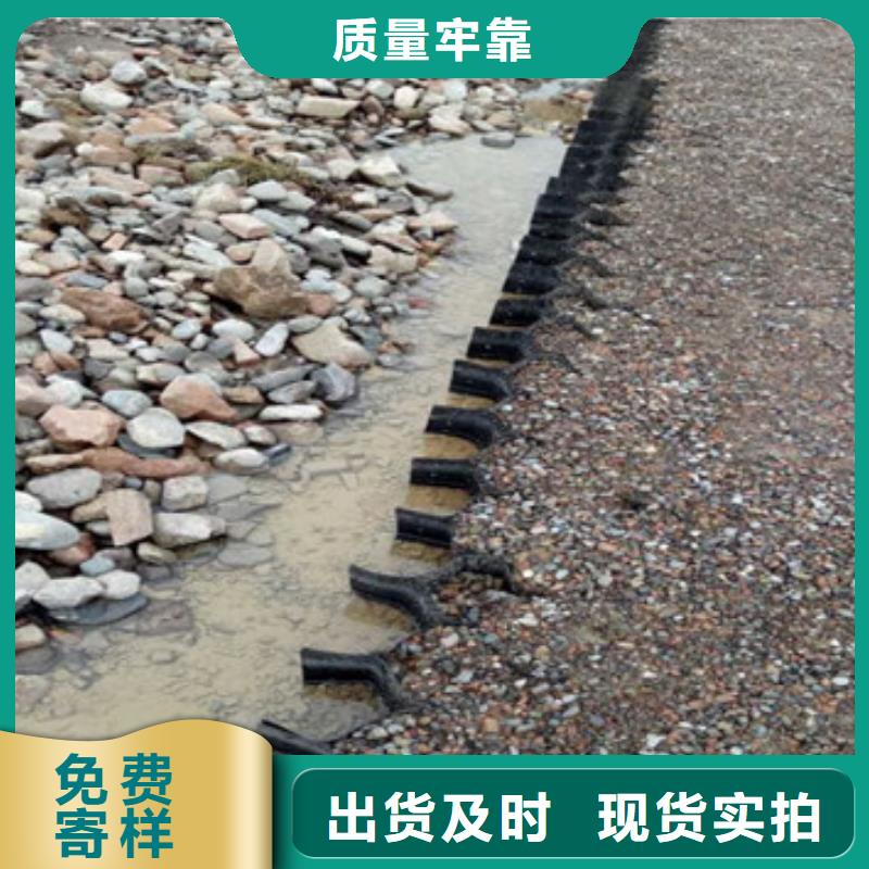 检测蜂巢格室-检测蜂巢格室