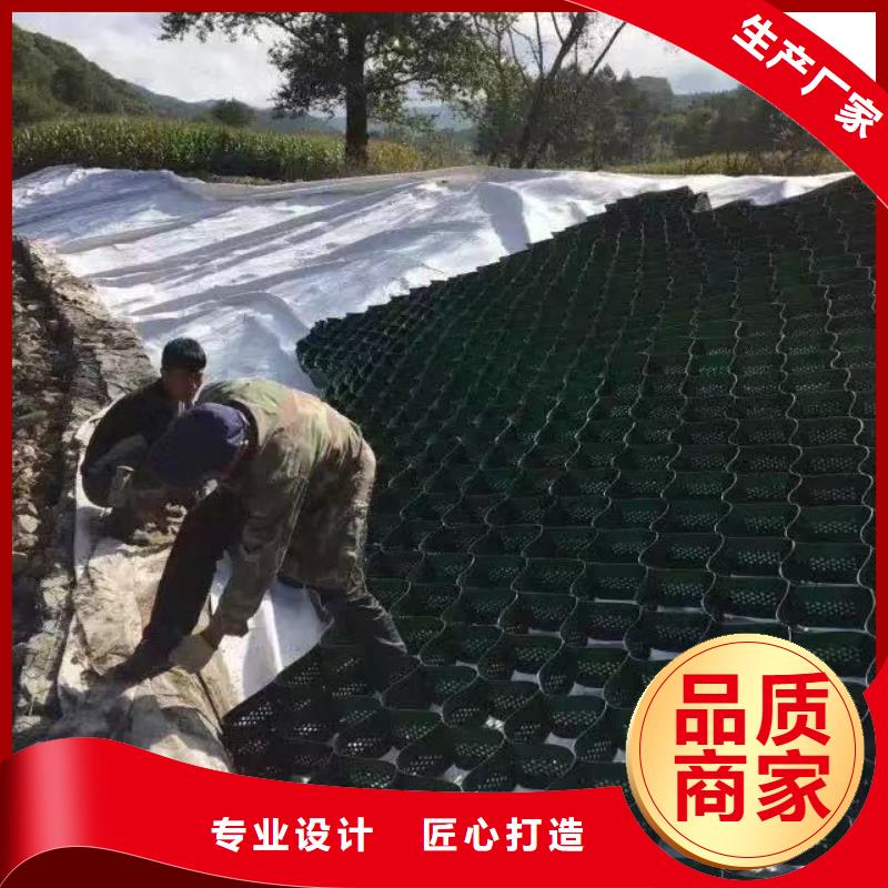 蜂巢格室蜂格网工艺精细质保长久