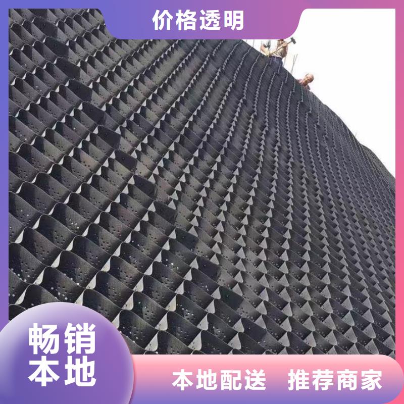 蜂巢格室 双向土工格栅检验发货
