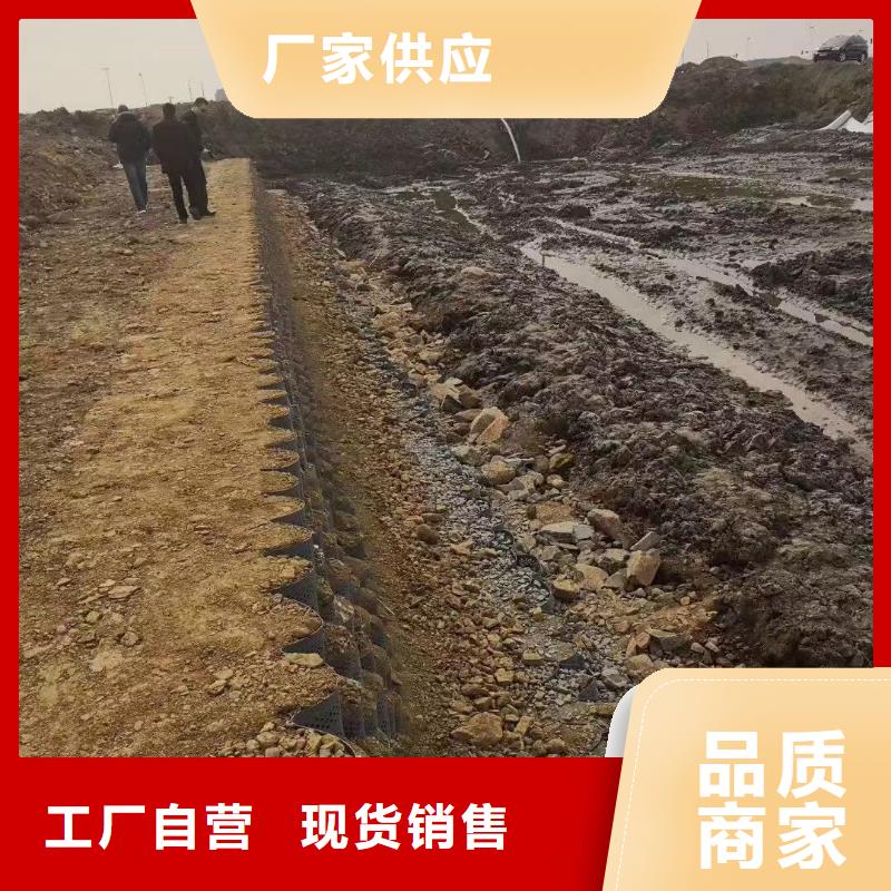 蜂巢格室土工格栅库存齐全厂家直供