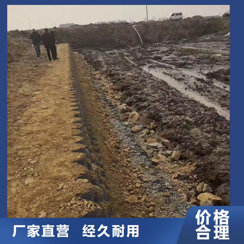 蜂巢格室蜂格网追求细节品质