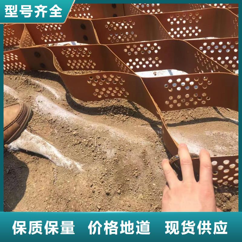 蜂巢格室-玻璃纤维土工格栅厂诚信经营
