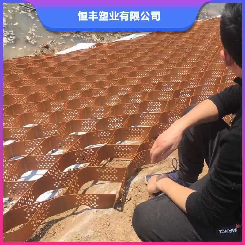 蜂巢格室 双向土工格栅检验发货