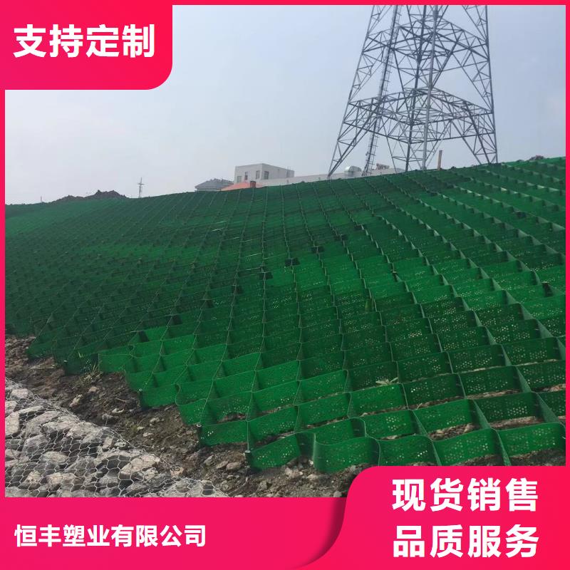 蜂巢格室_土工格栅源头厂家直销