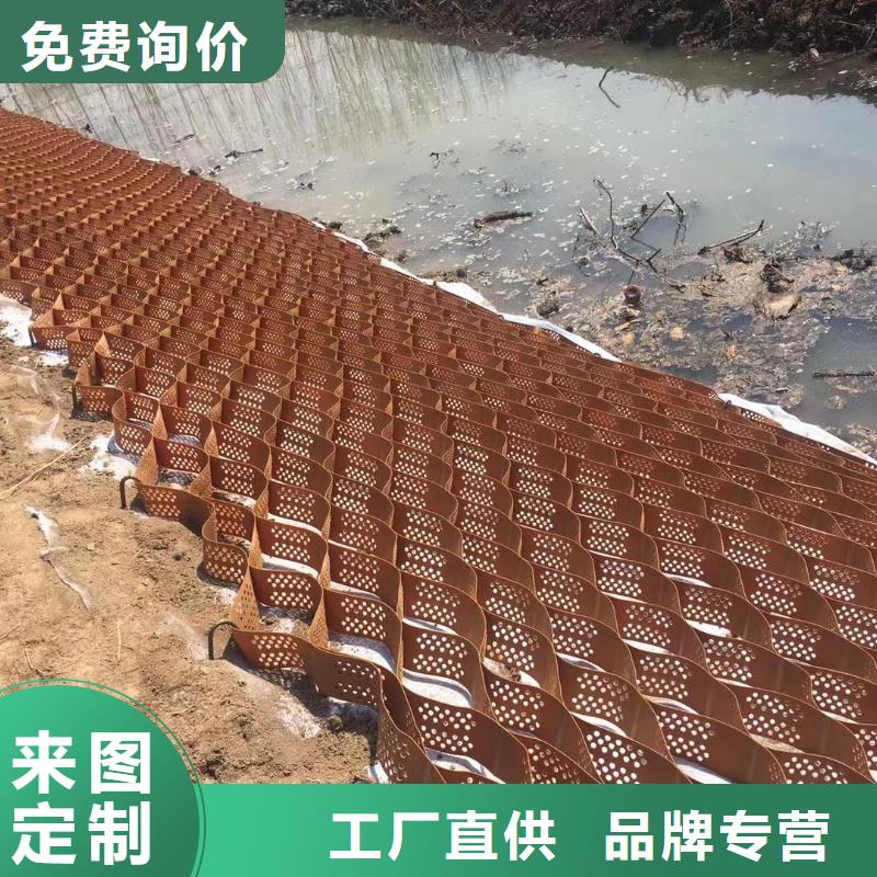 蜂巢格室-玻璃纤维土工格栅厂诚信经营