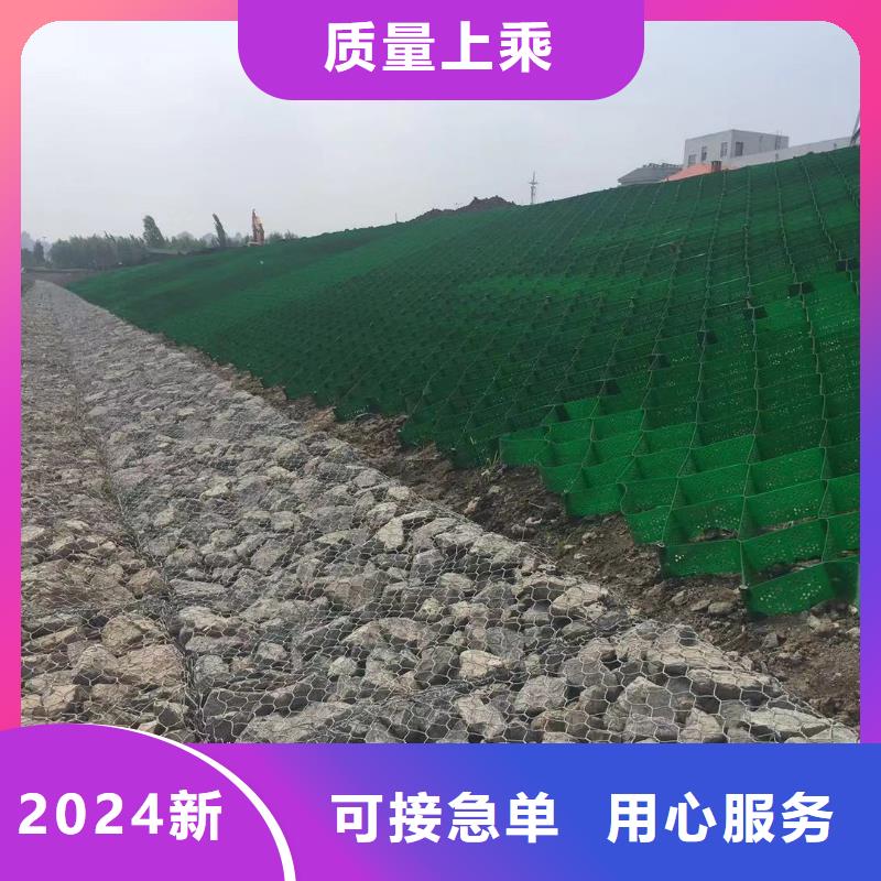 蜂巢格室_土工格栅源头厂家直销