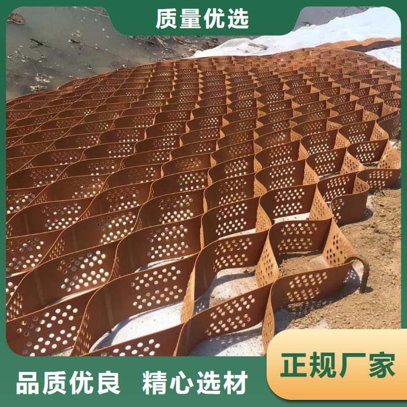 蜂巢格室土工格室当地厂家值得信赖
