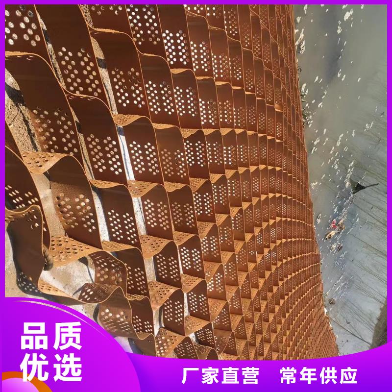 蜂巢格室土工格栅库存齐全厂家直供