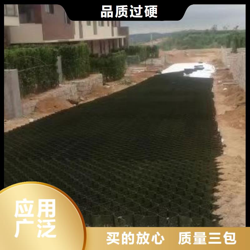 蜂巢格室-玻璃纤维土工格栅厂诚信经营