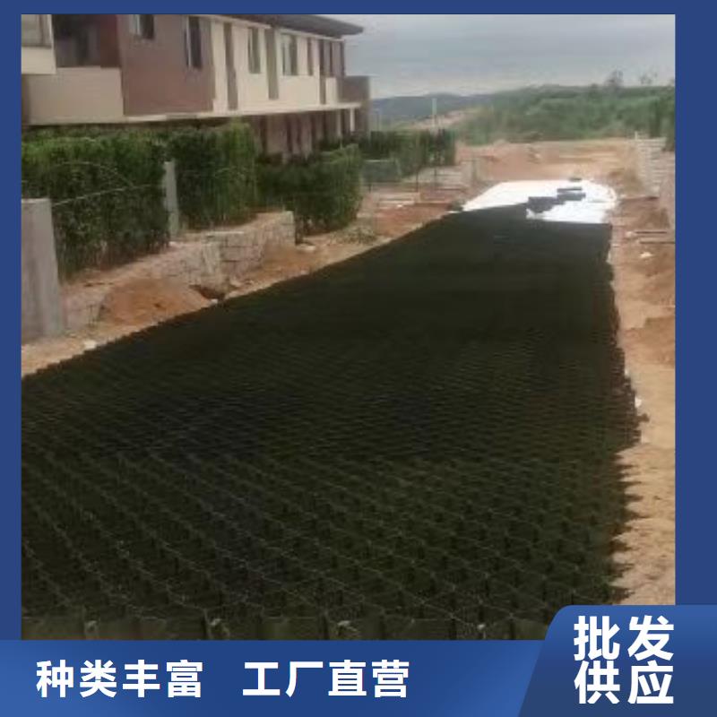 蜂巢格室蜂巢格宾网材质实在