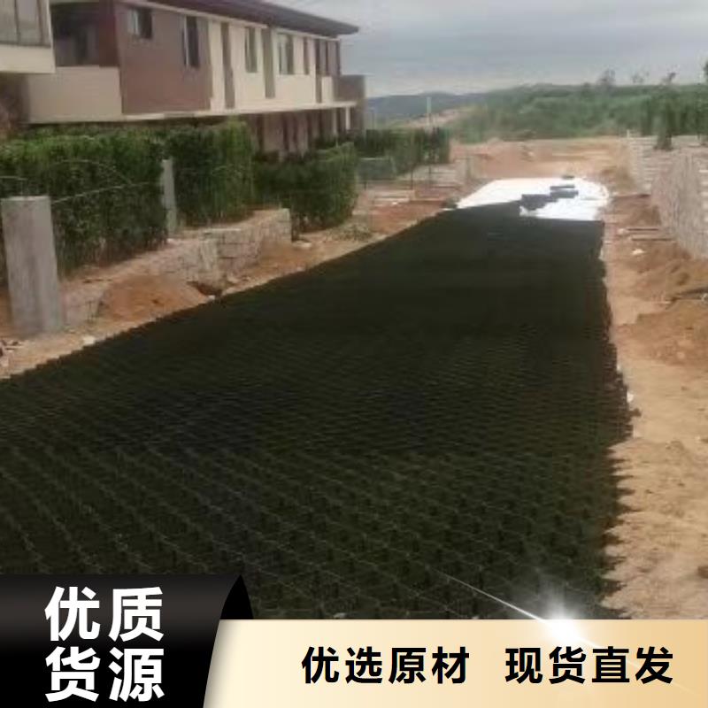 蜂巢格室_土工格栅源头厂家直销
