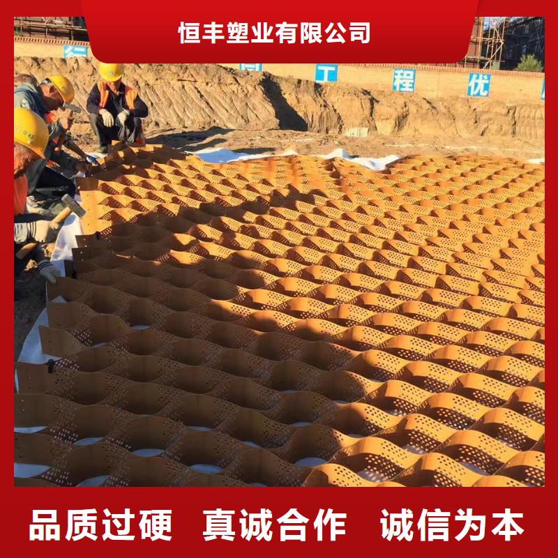 蜂巢格室蜂格网追求细节品质