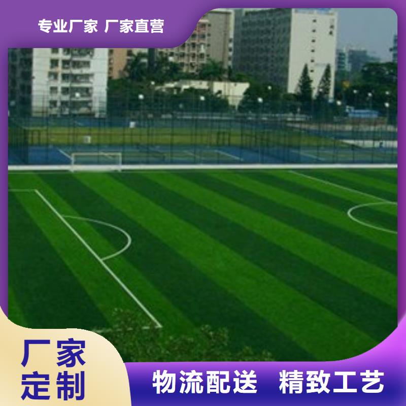 人造草坪篮球架支持定制