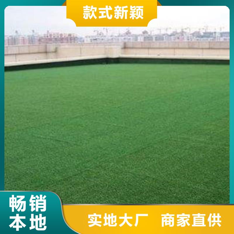 【人造草坪】塑胶跑道定制销售售后为一体
