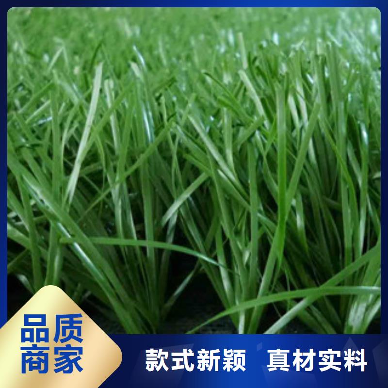 【人造草坪硅pu球场专业完善售后】