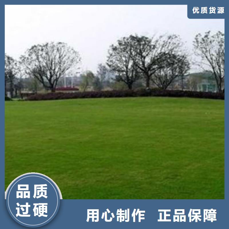 【人造草坪硅pu球场专业完善售后】