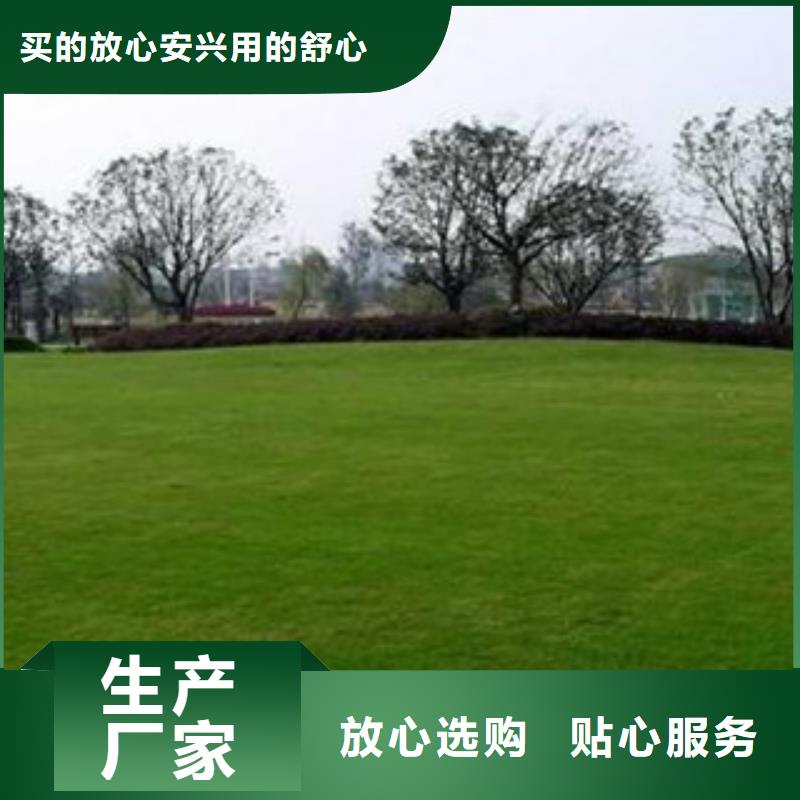 人造草坪塑胶地板诚信商家服务热情