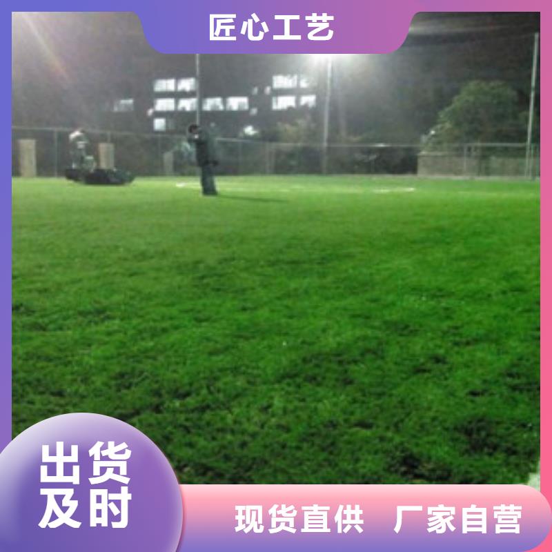 【人造草坪】塑胶跑道定制销售售后为一体