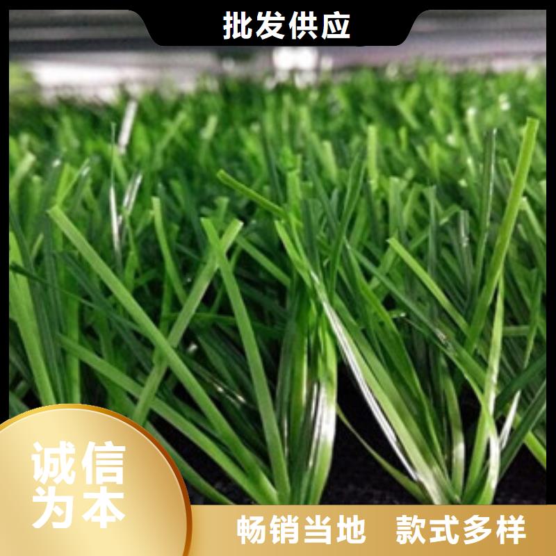 人造草坪篮球架支持定制