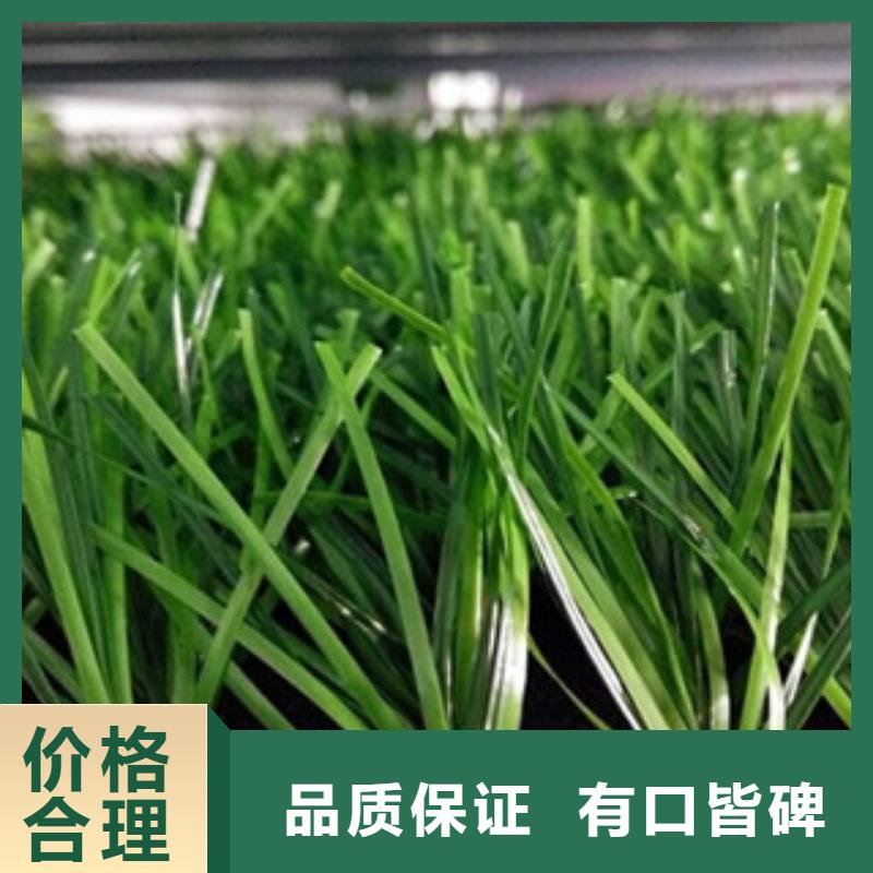 人造草坪塑胶地板诚信商家服务热情