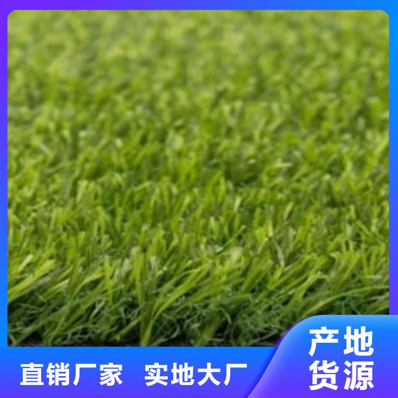 人造草坪篮球架支持定制